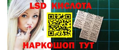 стафф Новодвинск