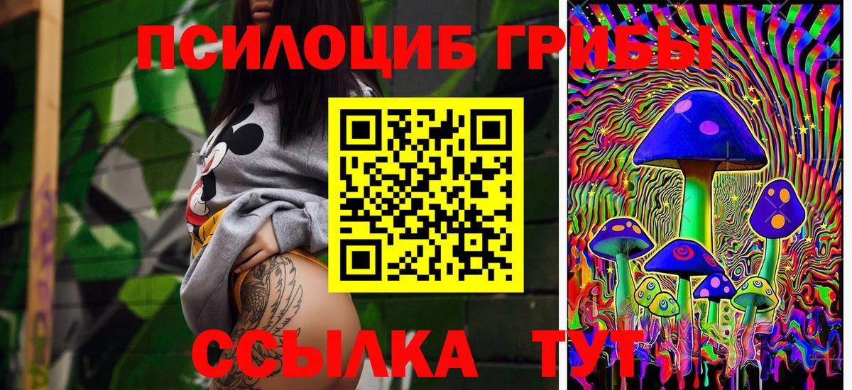 Уссурийск  Галлюциногенные грибы прущие грибы  Вход с VPN  Псилоцибиновые грибы прущие грибы 