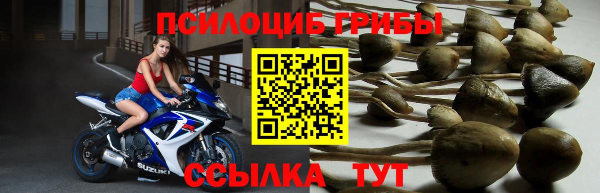 Галлюциногенные грибы ЛСД Уссурийск